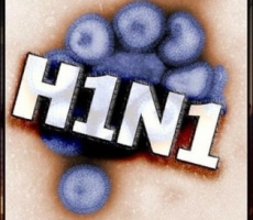 Свиной грип появился в Крыму