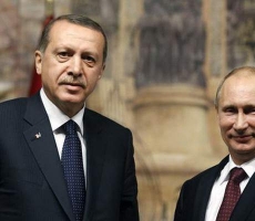Путин и Эрдоган планируют провести встречу в августе
